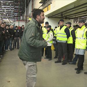 Bilder Comme des lions