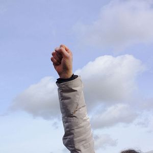 Bilder Comme des lions