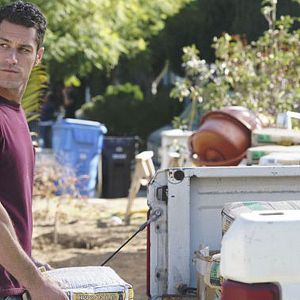 Bilder Brandon Quinn