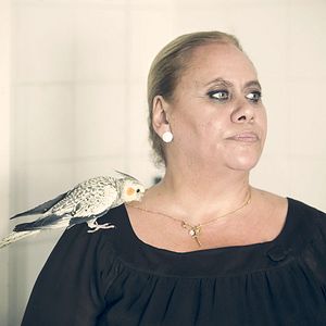 Bilder Carmina y amén