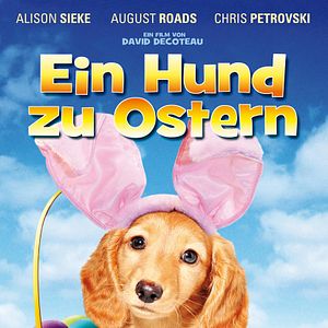 Bilder Ein Hund zu Ostern