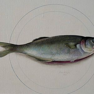 Bilder Glauco do Brasil