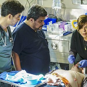 Bilder Marcia Gay Harden