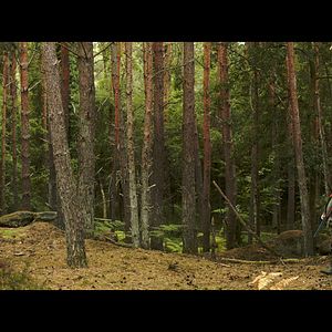 Bilder Gérard Depardieu