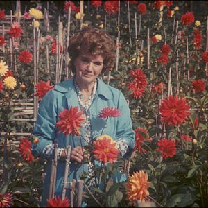 Bilder Visite ou Mémoires et confessions