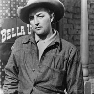 Bilder Nacht in der Prärie