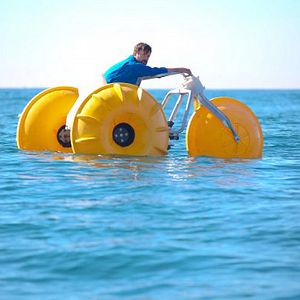 Bilder The Last Man On Earth