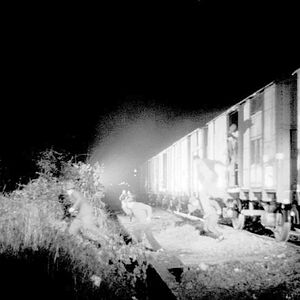 Bilder Die Verirrten