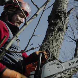 Bilder Akt - 4 Leben ein Akt