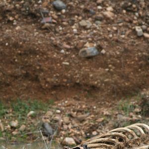 Bilder The Invoking - Das Böse schläft nie