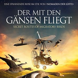 Bilder Der mit den Gänsen fliegt