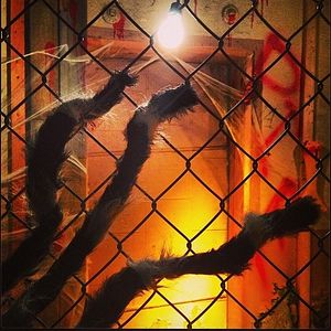 Bilder The Scarehouse - Revenge Is a Bitch