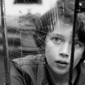 Bilder Ben Litwinschuh