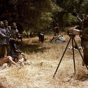 Bilder Planet der Affen