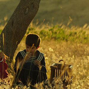 Bilder Yitik Kuşlar