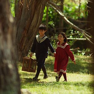 Bilder Yitik Kuşlar