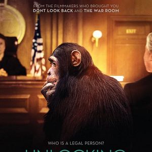 Bilder Unlocking the Cage