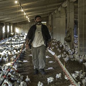 Bilder Quatretondeta