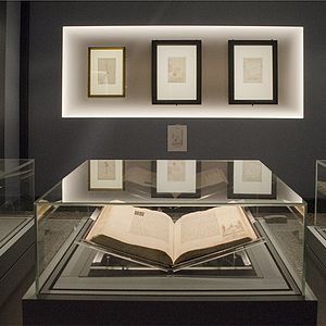 Bilder Leonardo Da Vinci - The Genius In Milan