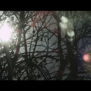 Bilder Exilados do Vulcão