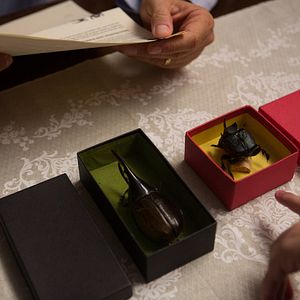 Bilder O Escaravelho do Diabo