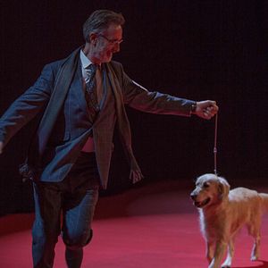 Bilder Thierry Lhermitte