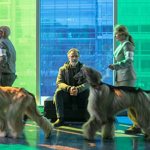 Bilder Thierry Lhermitte