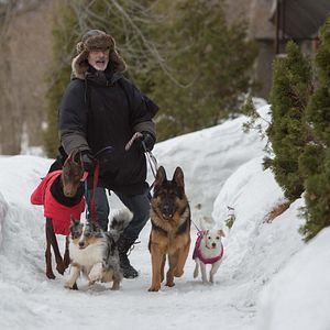 Bilder Thierry Lhermitte