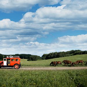 Bilder Gone With The Bullets