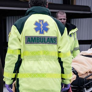 Bilder Die Brücke - Transit in den Tod