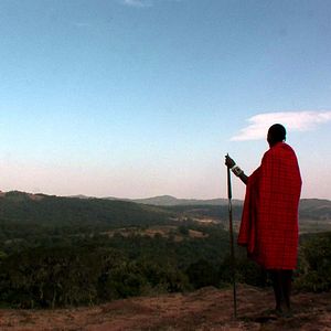 Bilder Down to Earth