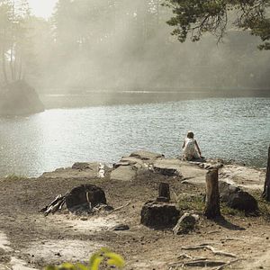 Bilder Jordskott - Die Rache des Waldes