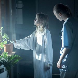 Bilder Jordskott - Die Rache des Waldes