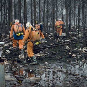 Bilder Jordskott - Die Rache des Waldes