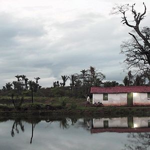 Bilder O Signo das Tetas