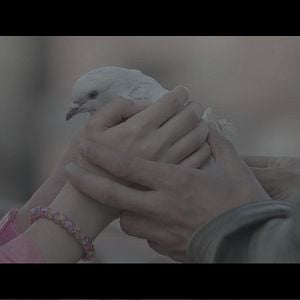 Bilder Ateş aka Feuer