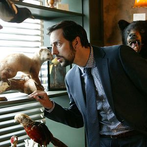Bilder Ralf Little