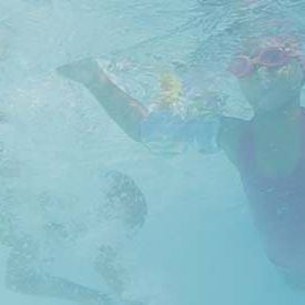 Bilder Meu Nome É Jacque