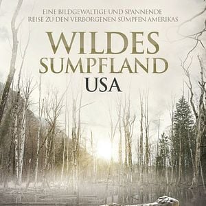 Bilder Wildes Sumpfland USA