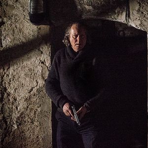 Bilder Stellan Skarsgård