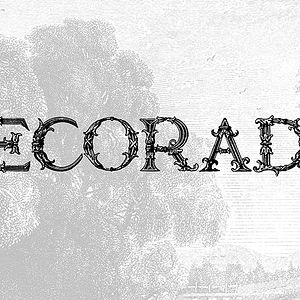 Bilder Decorado (short)