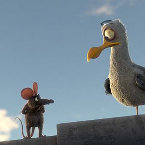 Bilder Kötü Kedi Serafettin - Bad Cat