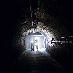 Bilder Rendezvous mit einem Eisbär