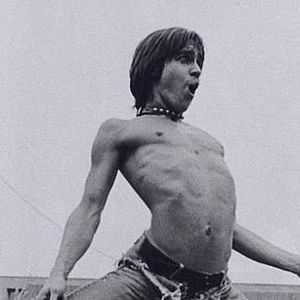 Bilder Iggy Pop
