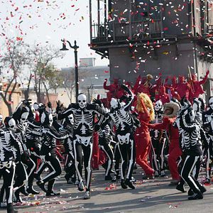 Bilder Endless Poetry