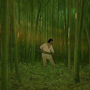 Bilder Die rote Schildkröte