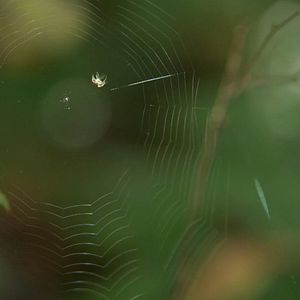 Bilder InnSæi - Die Kraft der Intuition