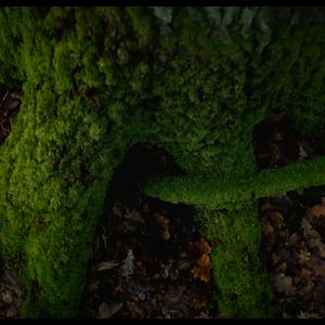 Bilder InnSæi - Die Kraft der Intuition