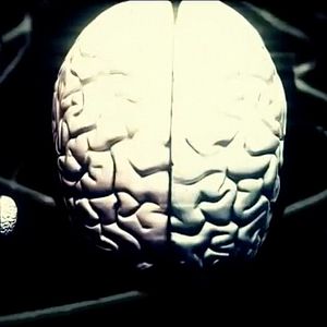 Bilder InnSæi - Die Kraft der Intuition