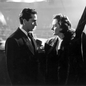 Bilder Blutsfeindschaft